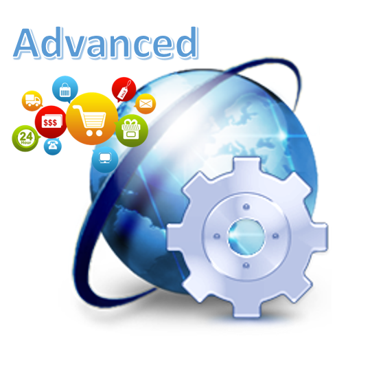 LCMS eCommerce Website Maintenance Advanced