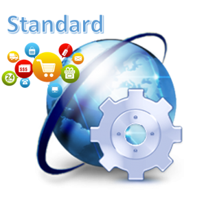 LCMS eCommerce Website Maintenance Standard
